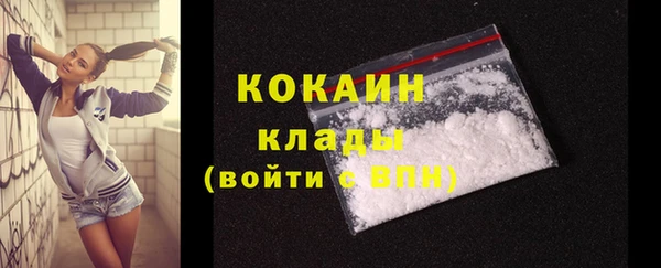 тгк Абаза
