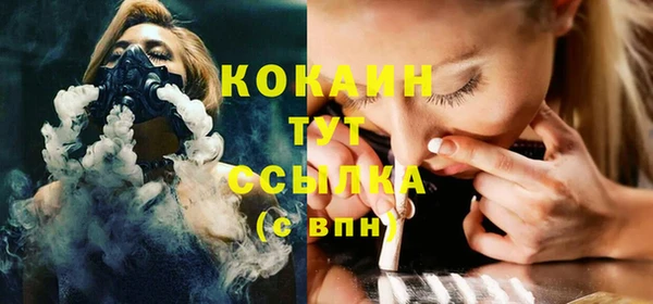 тгк Абаза