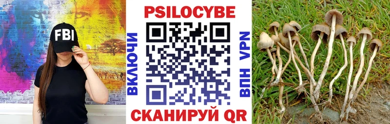 наркошоп  Керчь  ОМГ ОМГ как войти  Псилоцибиновые грибы MAGIC MUSHROOMS 