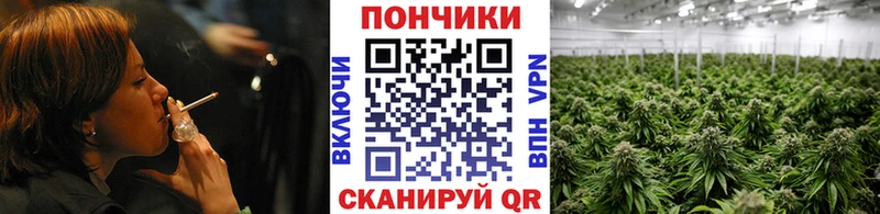 как найти закладки  Керчь  Шишки марихуана THC 21% 